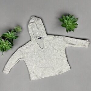 Gray AE Hooded sweater